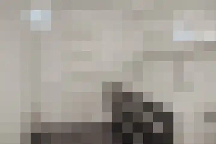 Niers 29 Deurne thumbnail 20