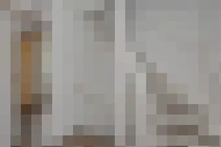 Niers 29 Deurne thumbnail 23