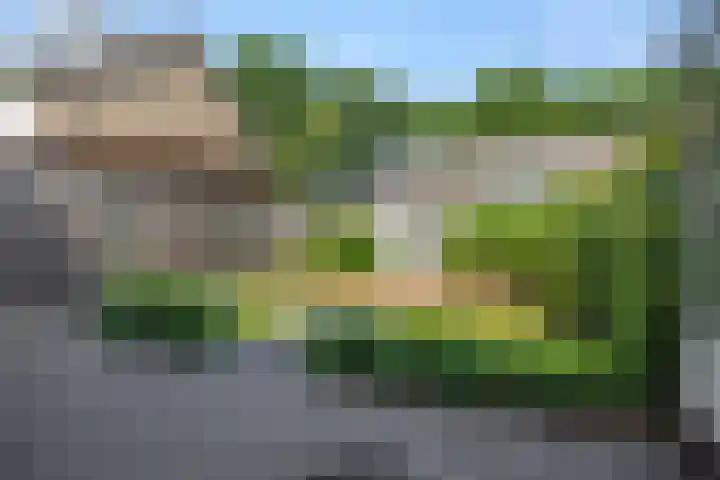 Niers 29 Deurne thumbnail 28
