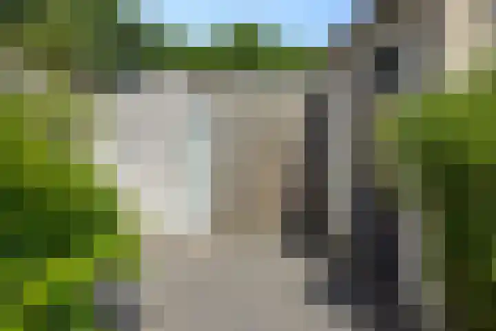 Niers 29 Deurne thumbnail 29