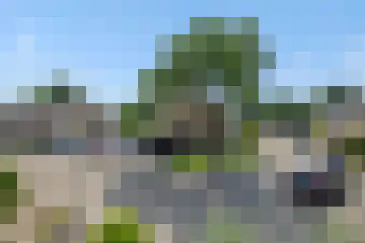 Niers 29 Deurne thumbnail 32