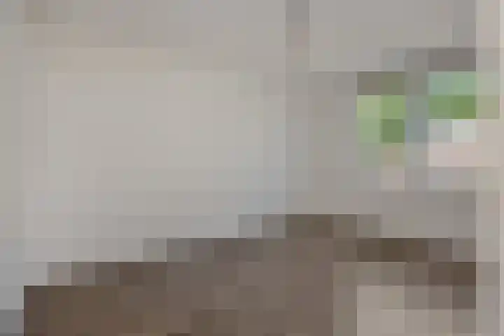 Niers 29 Deurne thumbnail 4
