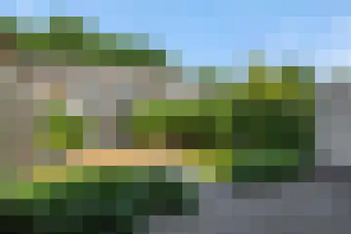 Niers 29 Deurne thumbnail 5