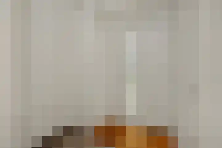 Niers 29 Deurne thumbnail 7
