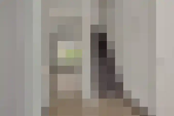 Niers 29 Deurne thumbnail 8