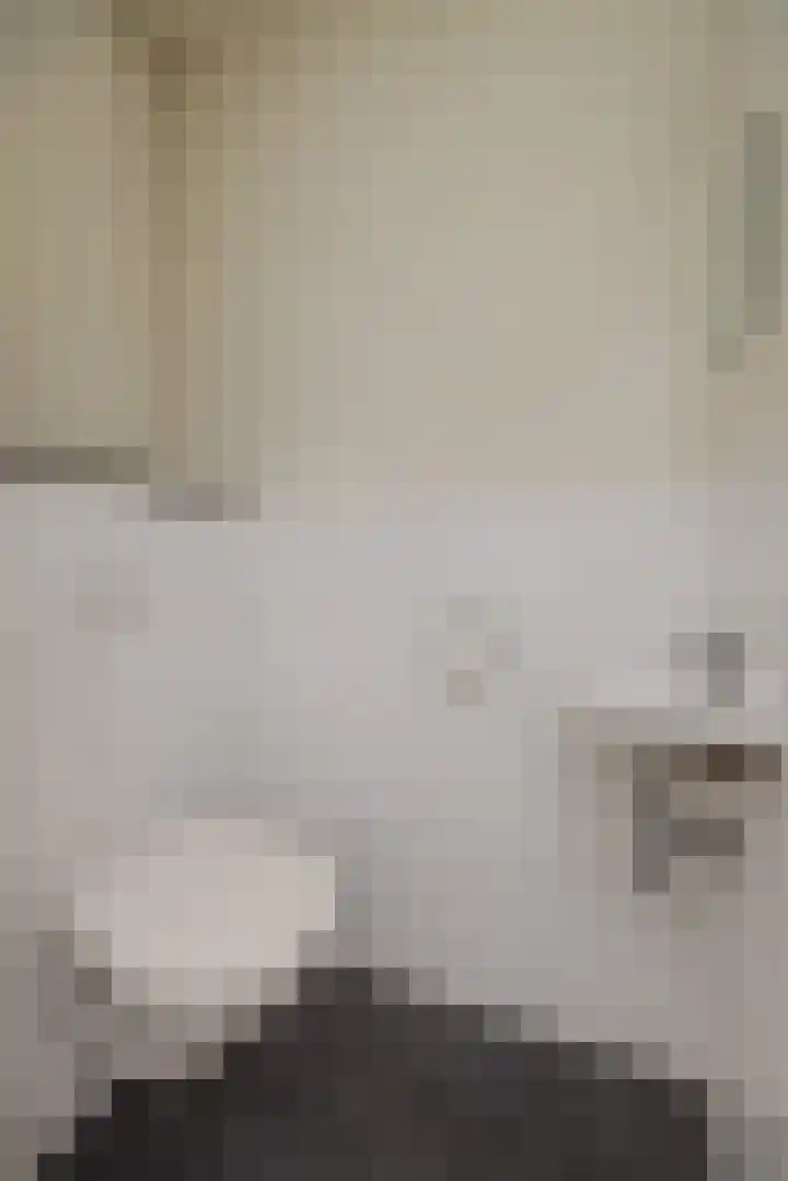 Niers 29 Deurne thumbnail 9