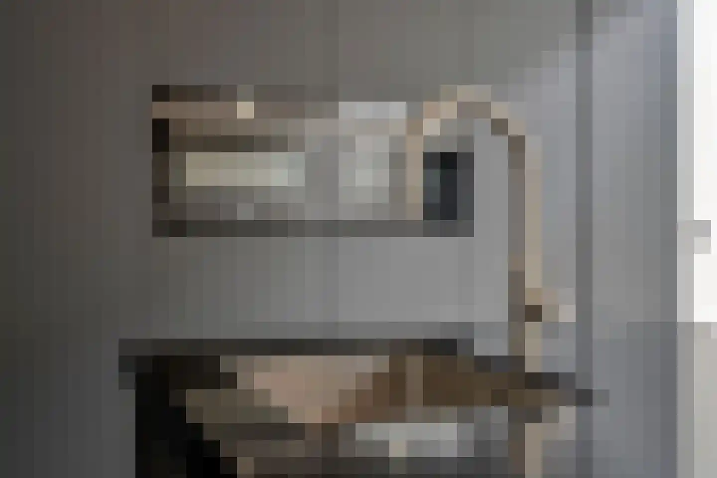 Niers 68 Tilburg thumbnail 13