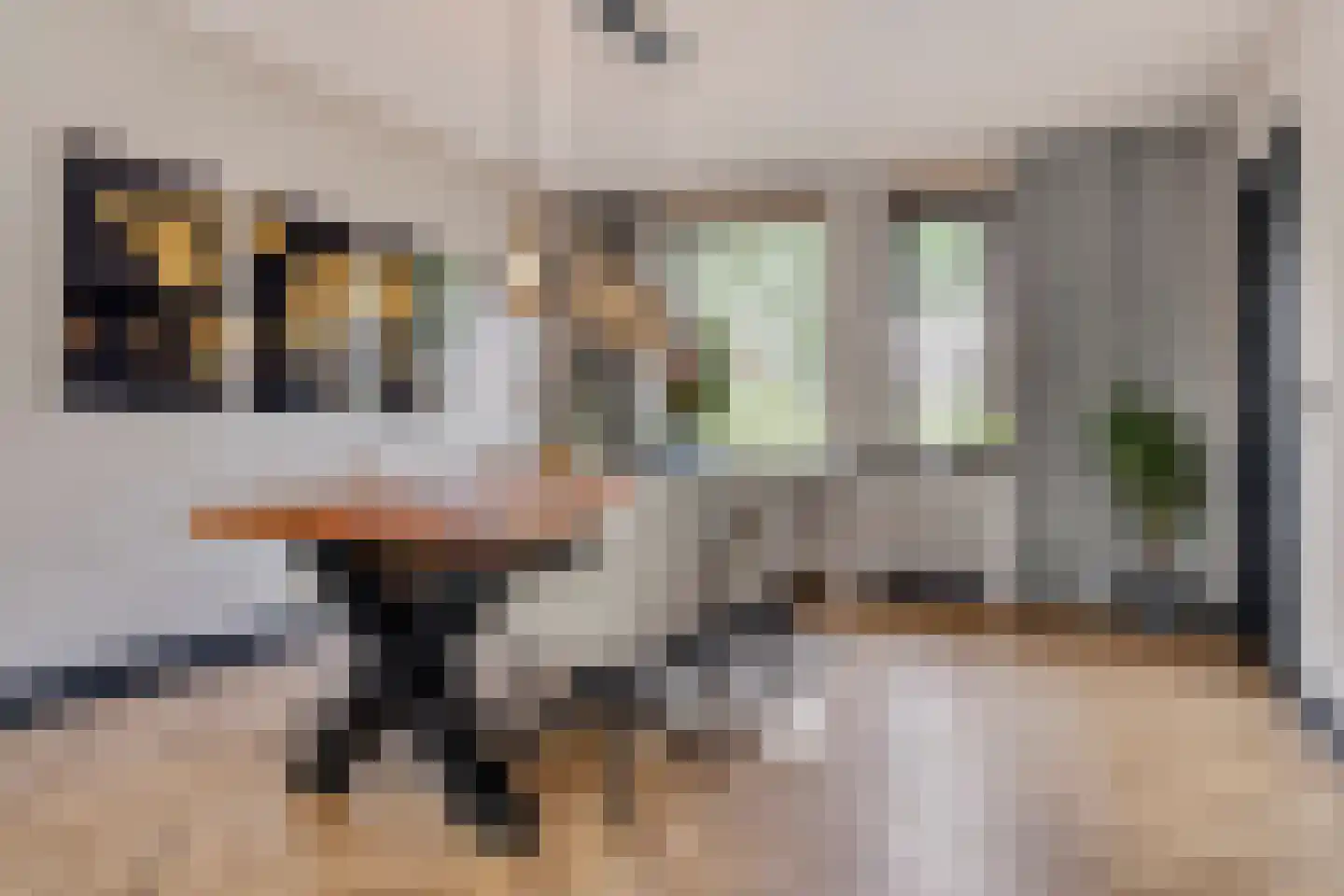 Niers 68 Tilburg thumbnail 14
