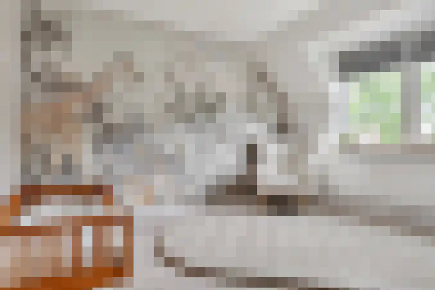 Niers 68 Tilburg thumbnail 21