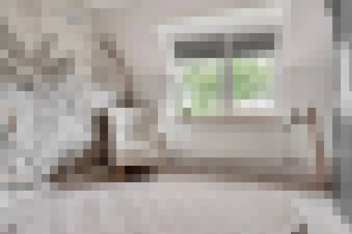Niers 68 Tilburg thumbnail 22