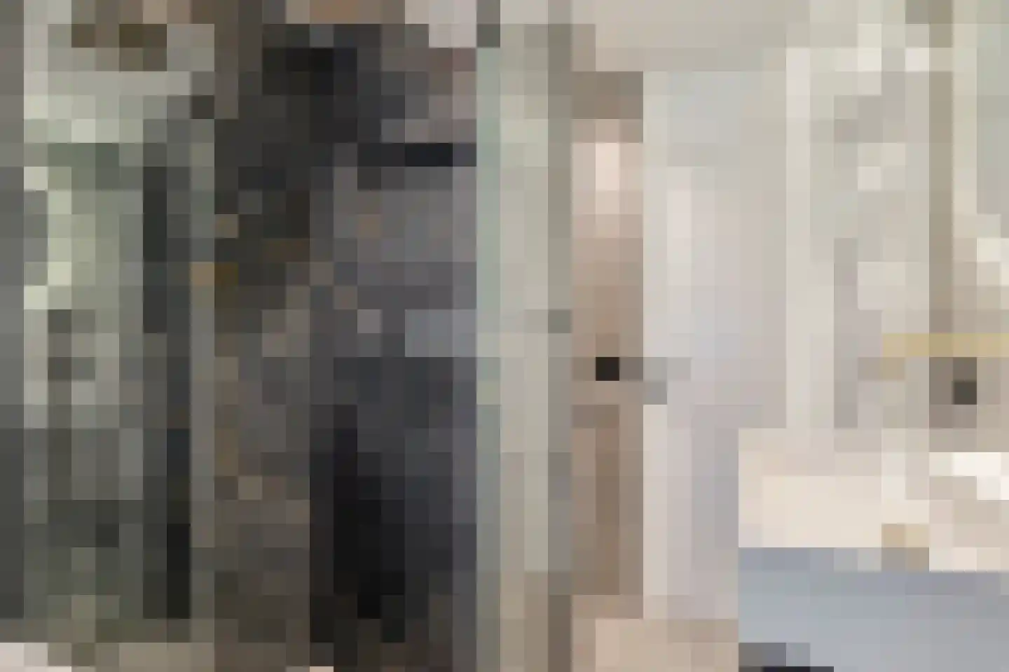 Niers 68 Tilburg thumbnail 25