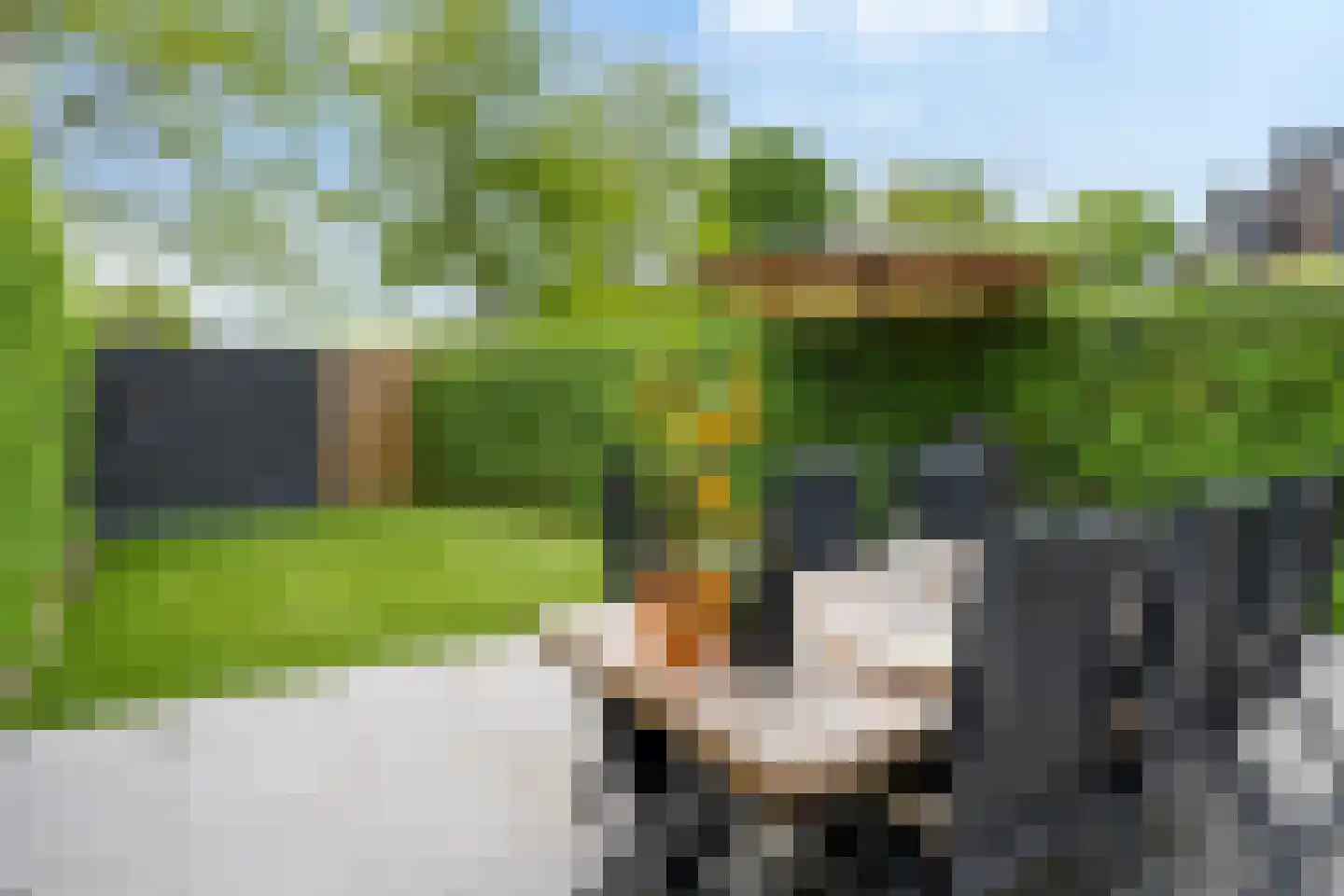 Niers 68 Tilburg thumbnail 37