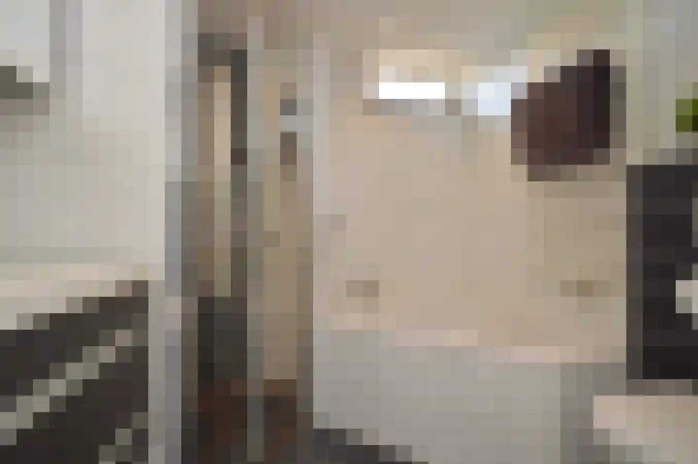 Niers 7 Deurne thumbnail 17