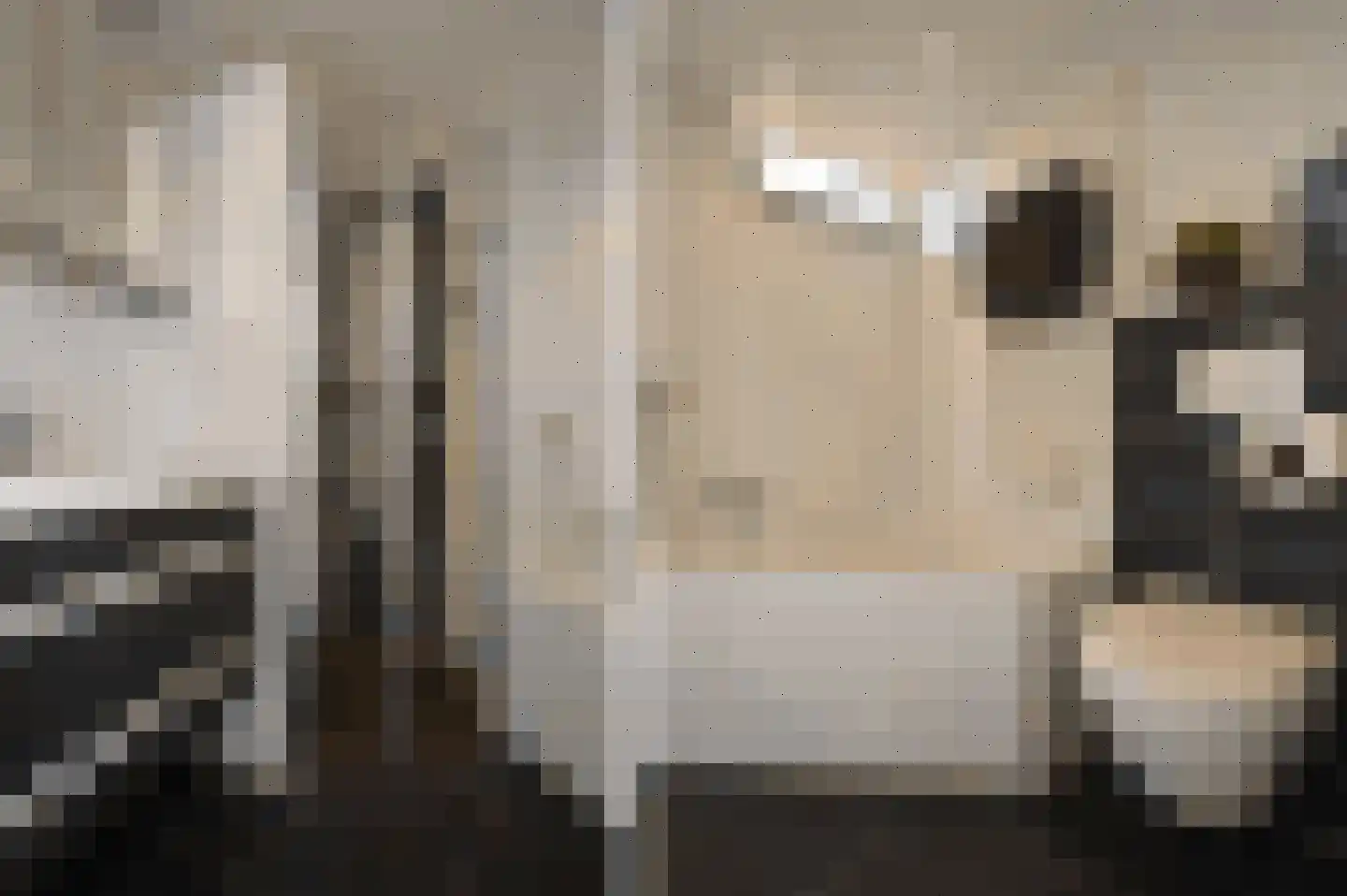 Niers 7 Deurne thumbnail 18