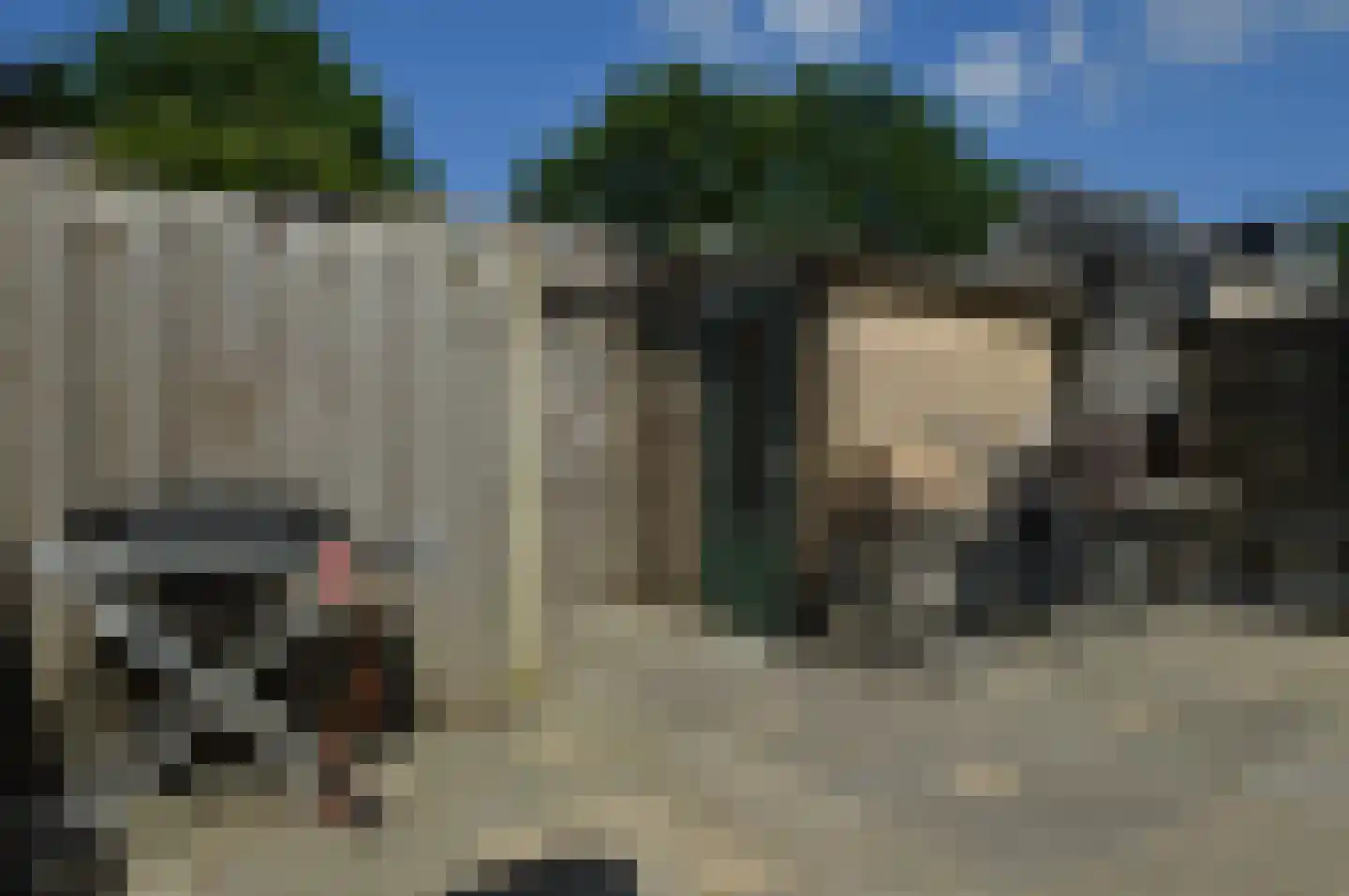 Niers 7 Deurne thumbnail 25