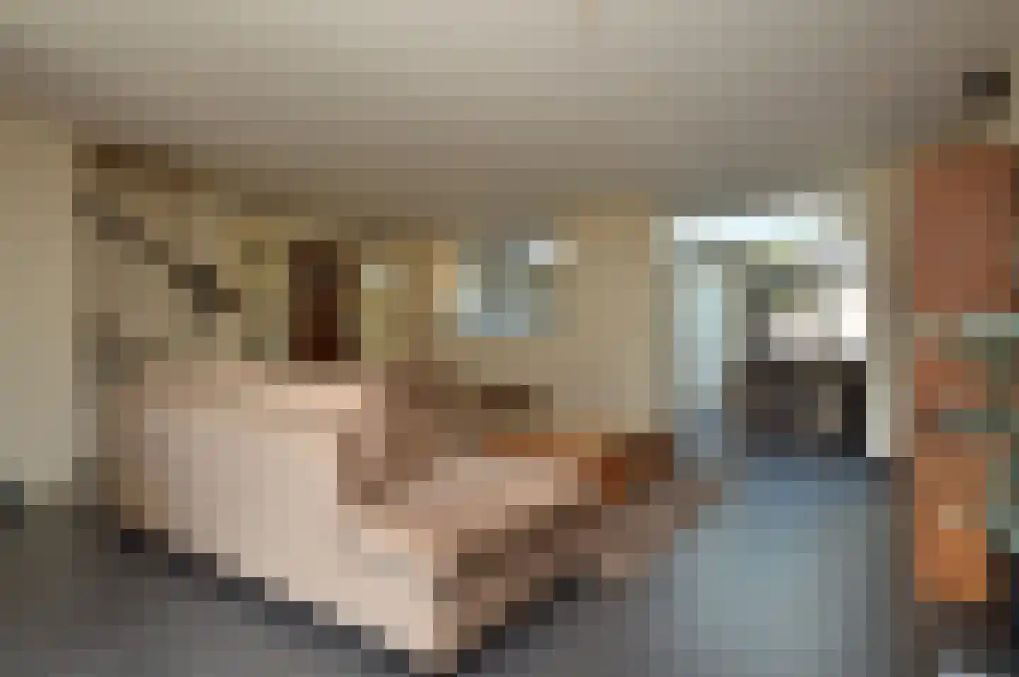 Niers 7 Deurne thumbnail 4