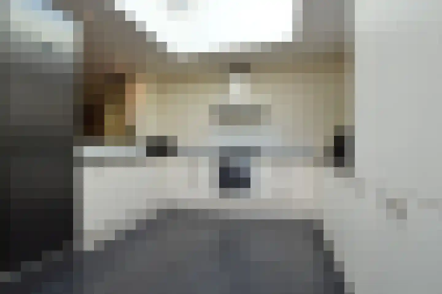 Niers 7 Deurne thumbnail 7