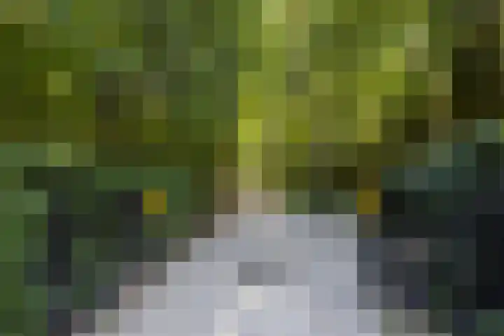 Niersenseweg 22 Vierhouten thumbnail 10