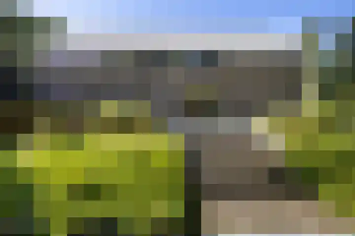 Niersenseweg 22 Vierhouten thumbnail 11