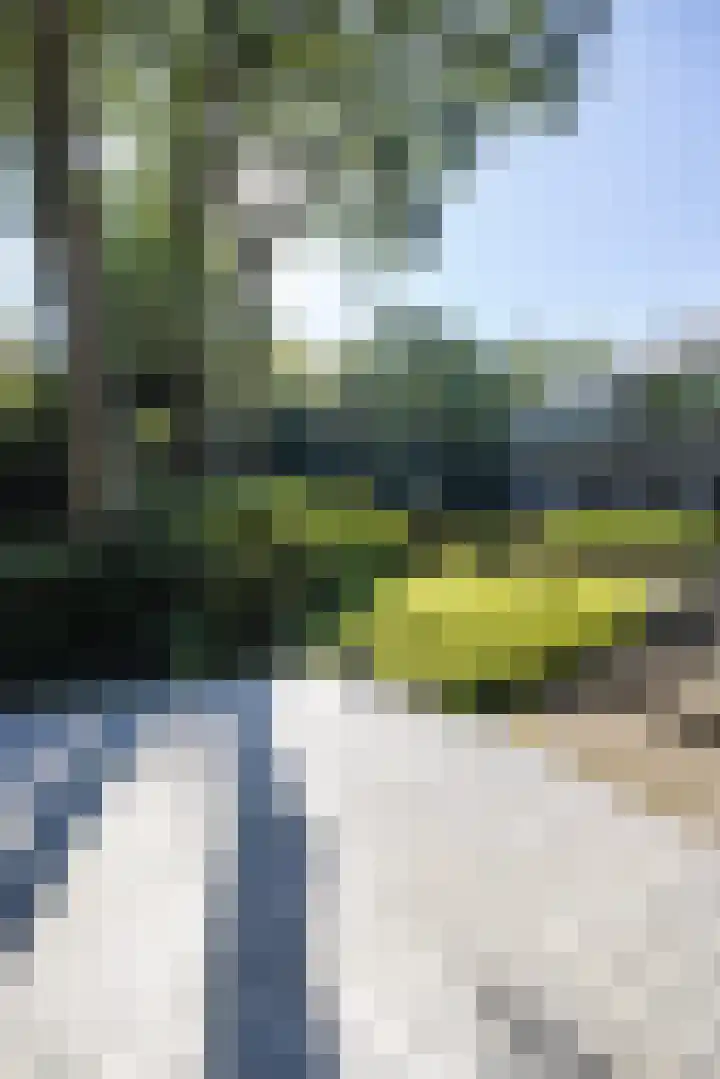 Niersenseweg 22 Vierhouten thumbnail 12