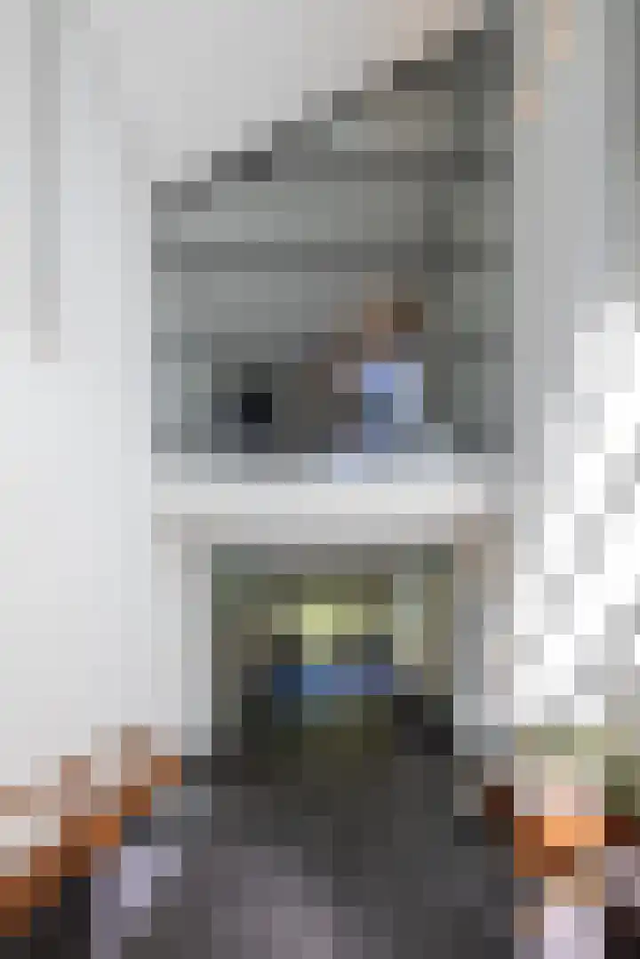 Niersenseweg 22 Vierhouten thumbnail 15