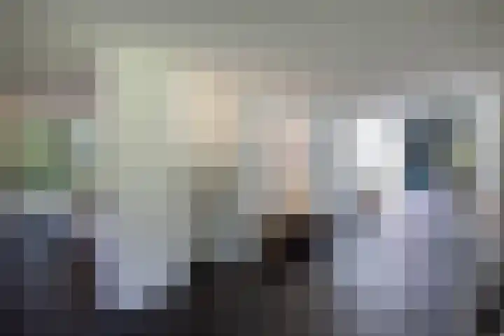 Niersenseweg 22 Vierhouten thumbnail 16