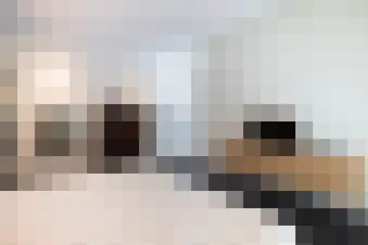 Niersenseweg 22 Vierhouten thumbnail 29