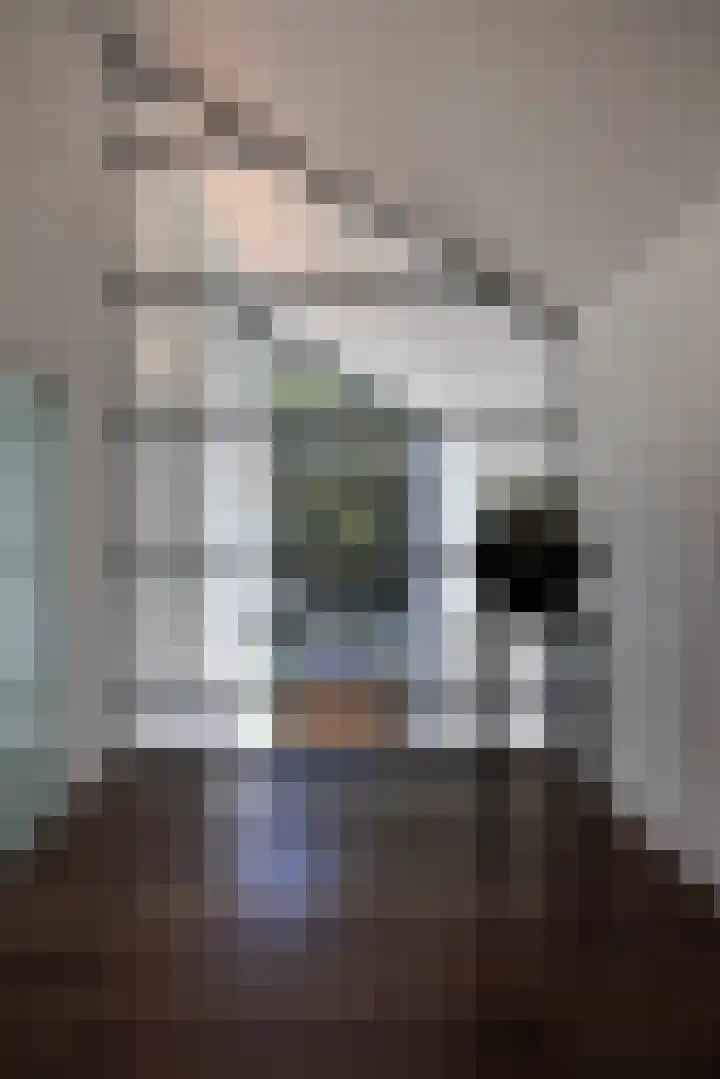Niersenseweg 22 Vierhouten thumbnail 35
