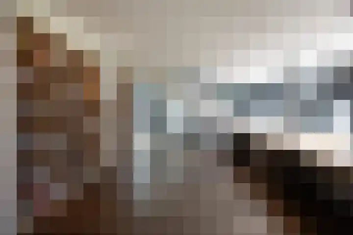 Niersenseweg 22 Vierhouten thumbnail 37