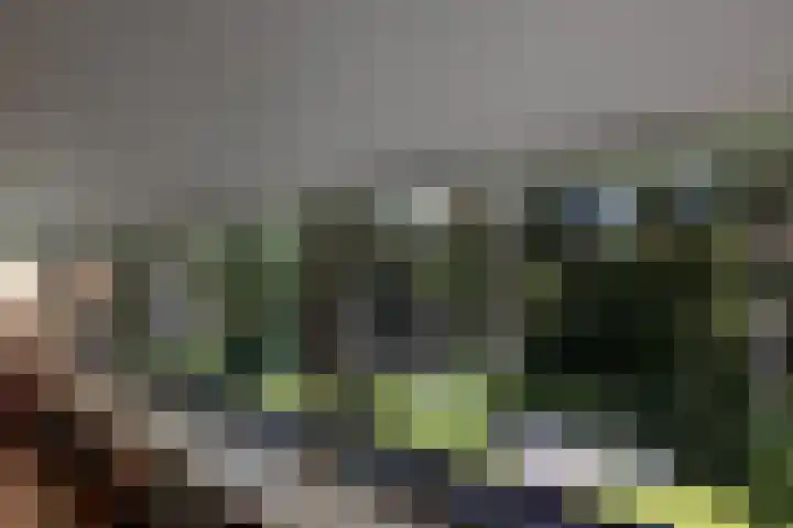 Niersenseweg 22 Vierhouten thumbnail 39