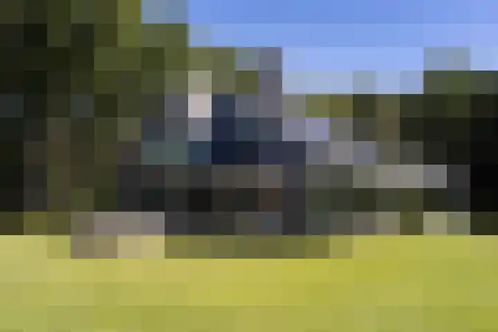 Niersenseweg 22 Vierhouten thumbnail 4