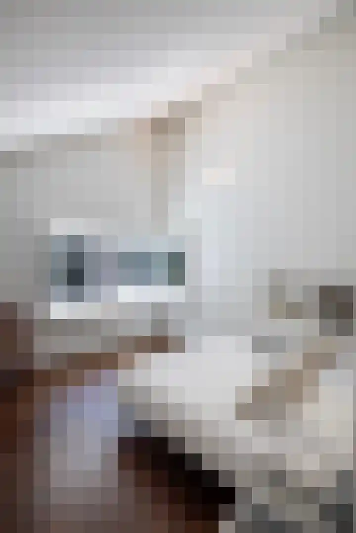 Niersenseweg 22 Vierhouten thumbnail 45