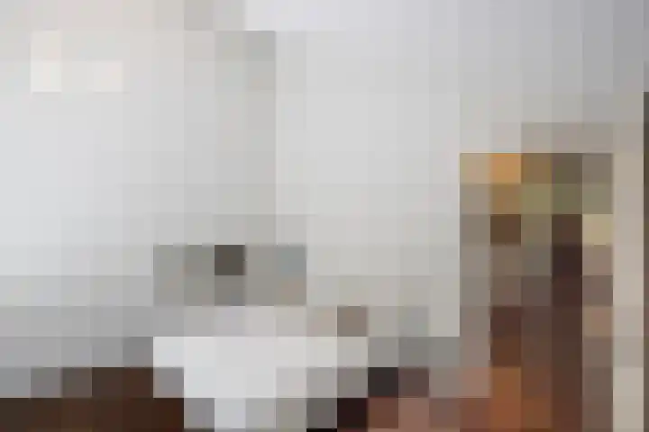 Niersenseweg 22 Vierhouten thumbnail 46