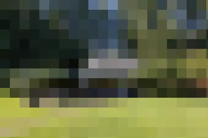 Niersenseweg 22 Vierhouten thumbnail 5