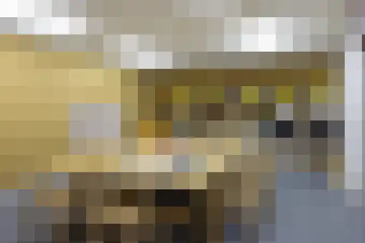 Niersenseweg 22 Vierhouten thumbnail 51