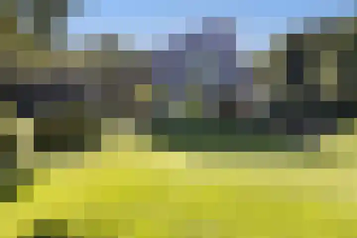 Niersenseweg 22 Vierhouten thumbnail 54