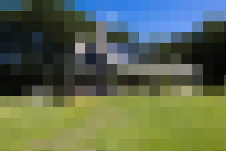 Niersenseweg 22 Vierhouten thumbnail 55