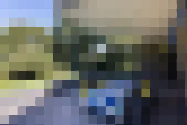 Niersenseweg 22 Vierhouten thumbnail 56