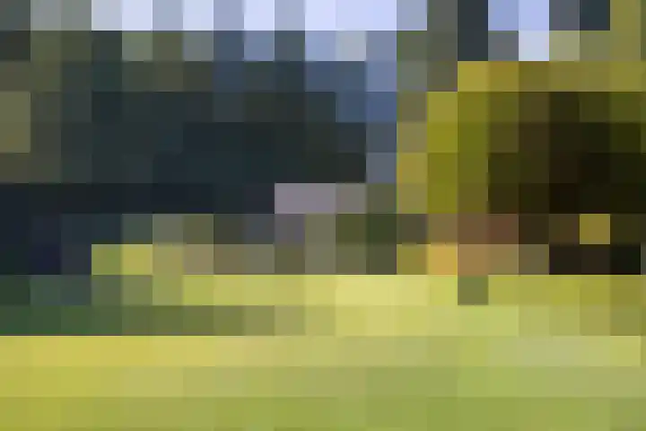 Niersenseweg 22 Vierhouten thumbnail 58