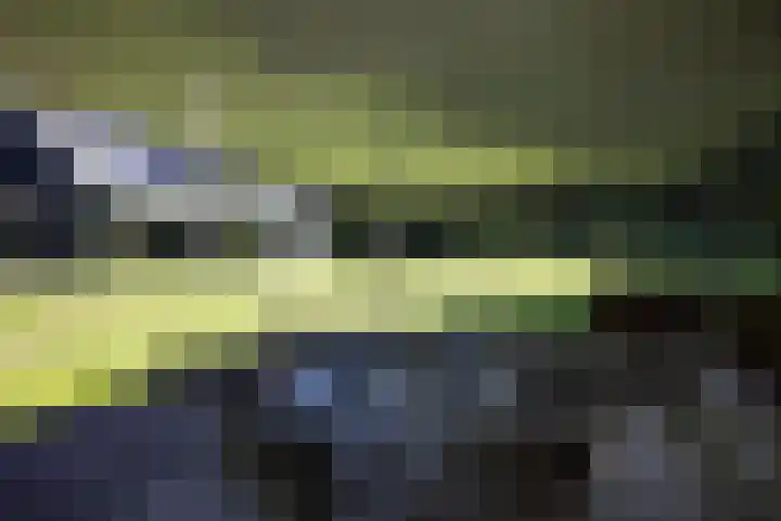 Niersenseweg 22 Vierhouten thumbnail 59