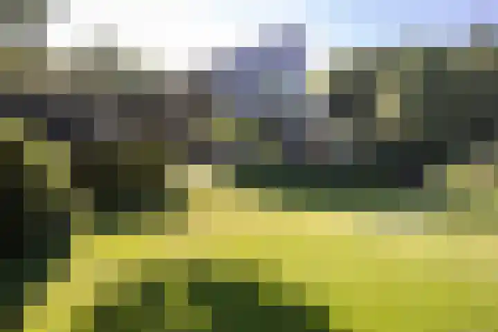 Niersenseweg 22 Vierhouten thumbnail 6