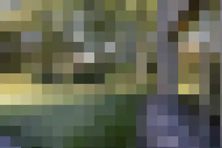 Niersenseweg 22 Vierhouten thumbnail 61