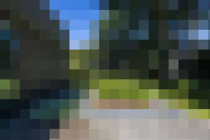 Niersenseweg 22 Vierhouten thumbnail 62