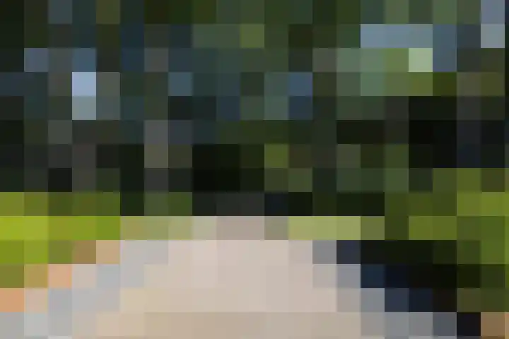 Niersenseweg 22 Vierhouten thumbnail 63