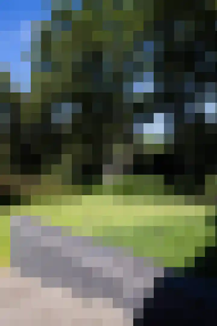 Niersenseweg 22 Vierhouten thumbnail 64