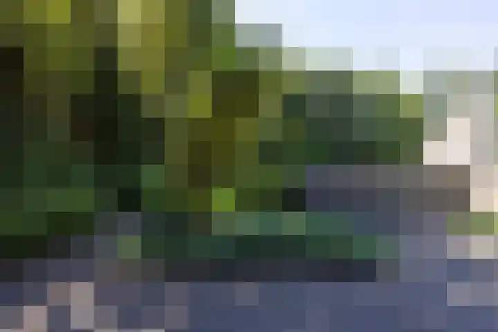 Niersenseweg 22 Vierhouten thumbnail 65