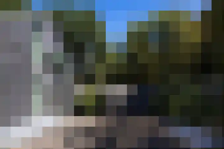 Niersenseweg 22 Vierhouten thumbnail 66