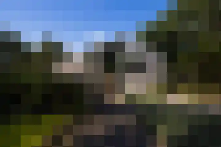 Niersenseweg 22 Vierhouten thumbnail 67