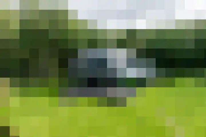 Niersenseweg 22 Vierhouten thumbnail 68