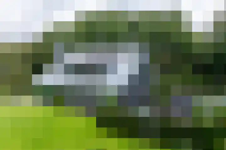 Niersenseweg 22 Vierhouten thumbnail 69